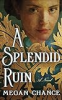 A_splendid_ruin