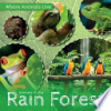 Animals_in_the_rain_forest