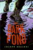 The_dark_pond