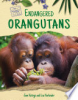 Endangered_orangutans