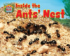 Inside_the_ants__nest