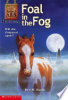 Foal_in_the_fog