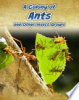 A_colony_of_ants__and_other_insect_groups