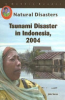Tsunami_Disaster_in_Indonesia__2004