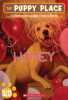 Honey__Puppy_place_16_