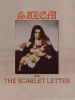 Salem_and_The_Scarlet_Letter
