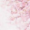 White_Noise_Zen