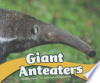 Giant_anteaters