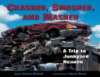 Crashed__smashed__and_mashed