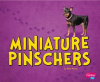 Miniature_Pinschers