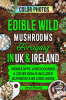 Edible_Wild_Mushrooms_Foraging__in_UK___Ireland