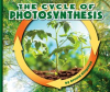 The_Cycle_of_Photosynthesis
