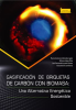Gasificaci__n_de_briquetas_de_carb__n_con_biomasa