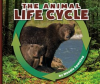 The_Animal_Life_Cycle