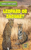 Leopard_or_Jaguar_