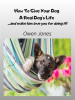 How_to_Give_Your_Dog_a_Real_Dog_s_Life
