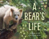 A_Bear_s_Life
