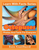 Octopuses_Photos_and_Facts_for_Everyone