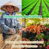 Sustainable_Agriculture