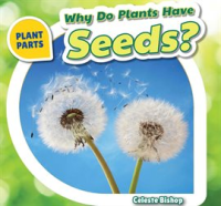 Why_Do_Plants_Have_Seeds_