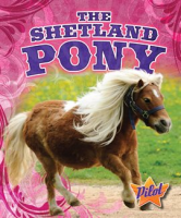 The_Shetland_Pony
