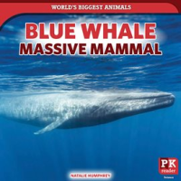Blue_Whale__Massive_Mammal
