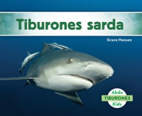 Tiburones_Sarda__Bull_Sharks_