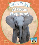 It_s_a_baby_African_elephant_