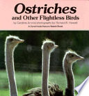 Ostriches_and_other_flightless_birds