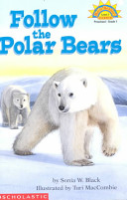 Follow_the_polar_bears
