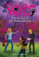 The_Secret_of_the_Shadow_Bandit