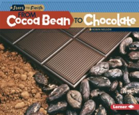 From_Cocoa_Bean_to_Chocolate