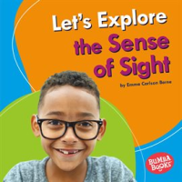 Let_s_Explore_the_Sense_of_Sight