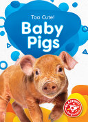 Baby_pigs