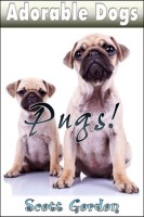 Adorable_Dogs__Pugs