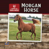 Morgan_Horse