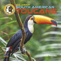 All_About_South_American_Toucans
