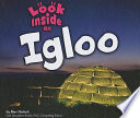 Look_inside_an_igloo