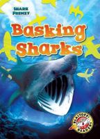 Basking_Sharks