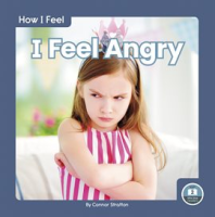 I_Feel_Angry