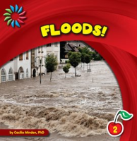 Floods_
