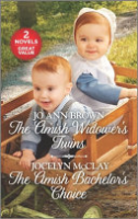 The_Amish_widower_s_twins