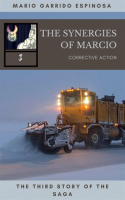 The_synergies_of_Marcio_3__Corrective_actions