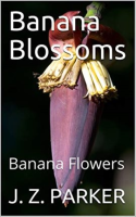 Banana_Blossoms__Banana_Flowers