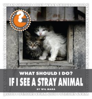 What_Should_I_Do__If_I_See_a_Stray_Animal