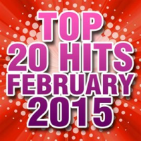 Top_20_Hits_February_2015