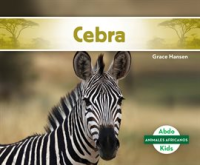 Cebra__Zebra_