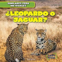 __Leopardo_o_jaguar___Leopard_or_Jaguar__