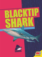 Blacktip_Shark