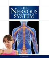 The_Nervous_System
